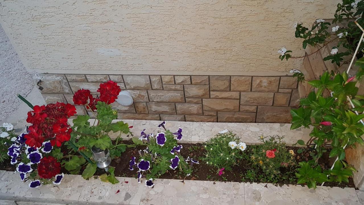 נובליה Apartment Sara מראה חיצוני תמונה